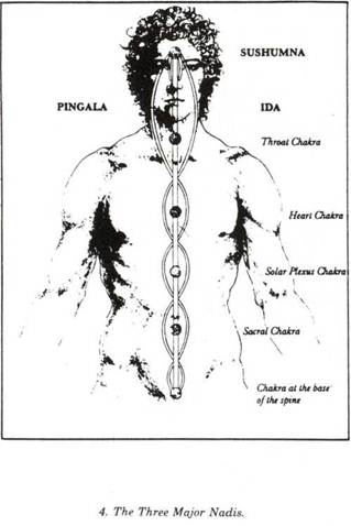 Description: D:\Dropbox\Dropbox\Meditation_Baker\Meditation 1_files\image002.jpg